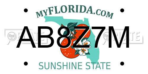 AB8Z7M Florida License Plate