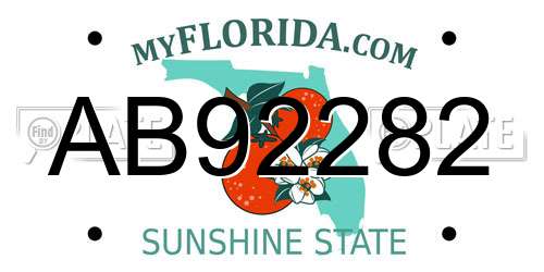 AB92282 Florida License Plate