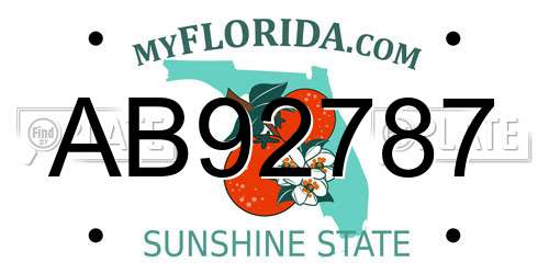 AB92787 Florida License Plate