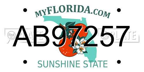 AB97257 Florida License Plate