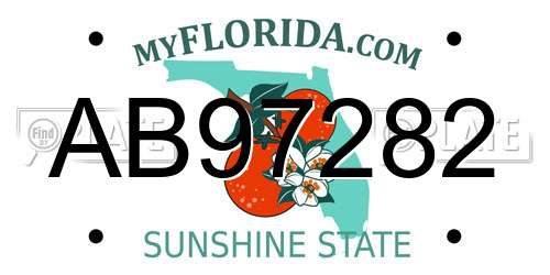 AB97282 Florida License Plate