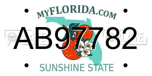 AB97782 Florida License Plate