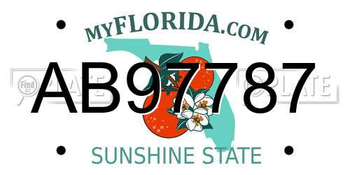 AB97787 Florida License Plate