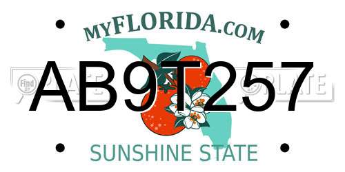 AB9T257 Florida License Plate