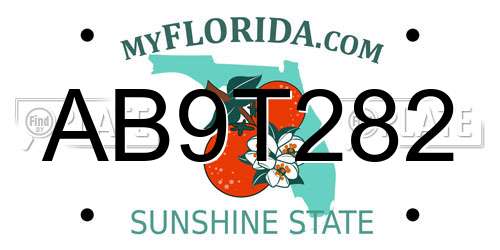 AB9T282 Florida License Plate
