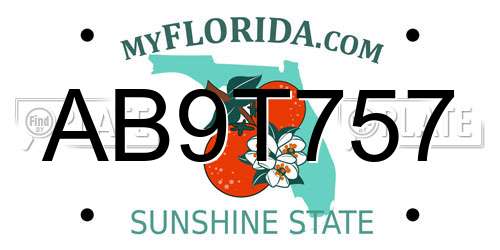 AB9T757 Florida License Plate