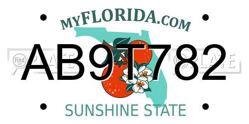 AB9T782 Florida License Plate