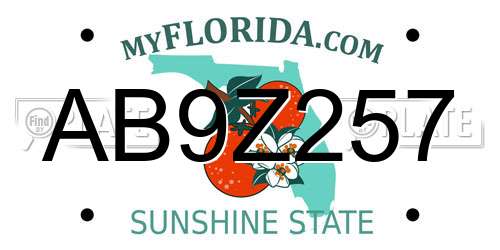 AB9Z257 Florida License Plate