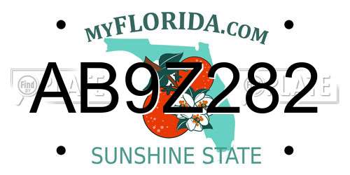 AB9Z282 Florida License Plate