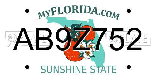 AB9Z752 Florida License Plate