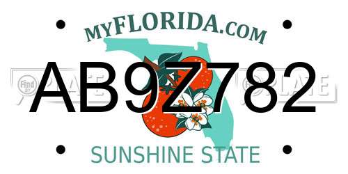 AB9Z782 Florida License Plate