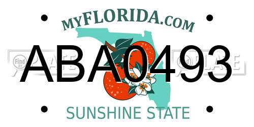 ABA0493 Florida License Plate
