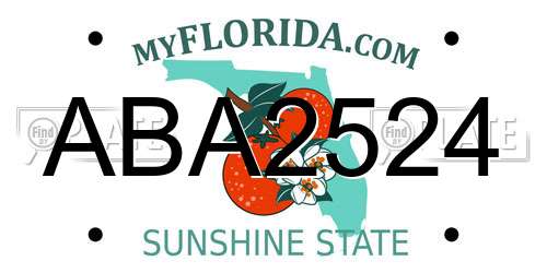ABA2524 Florida License Plate