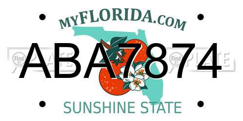 ABA7874 Florida License Plate