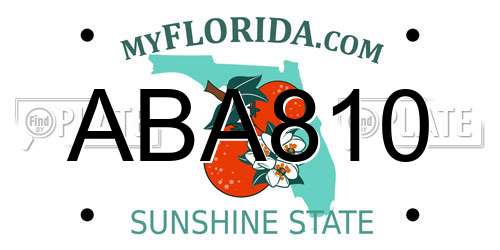 ABA810 Florida License Plate