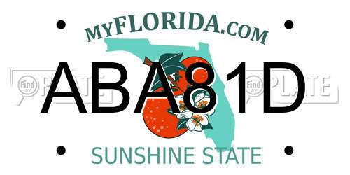 ABA81D Florida License Plate