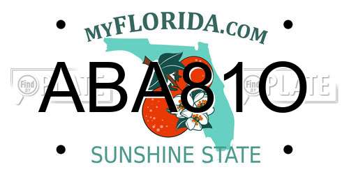 ABA81O Florida License Plate