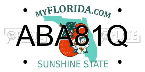 ABA81Q Florida License Plate