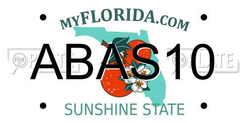 ABAS10 Florida License Plate