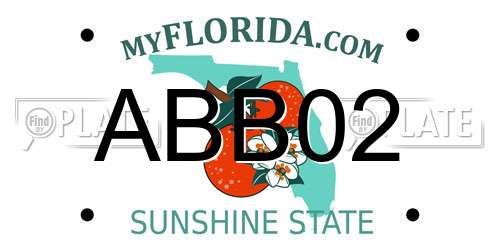 ABB02 Florida License Plate