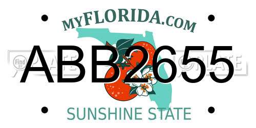 ABB2655 Florida License Plate