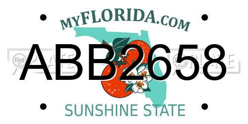 ABB2658 Florida License Plate