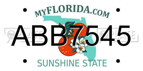 ABB7545 Florida License Plate