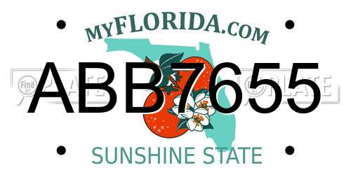 ABB7655 Florida License Plate