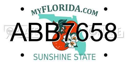 ABB7658 Florida License Plate