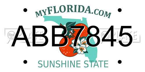 ABB7845 Florida License Plate