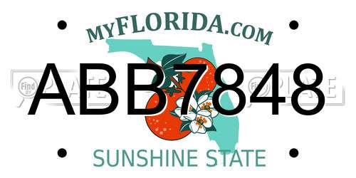ABB7848 Florida License Plate