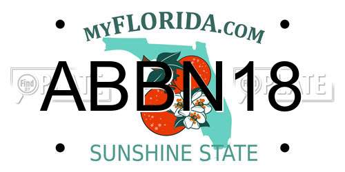 ABBN18 Florida License Plate