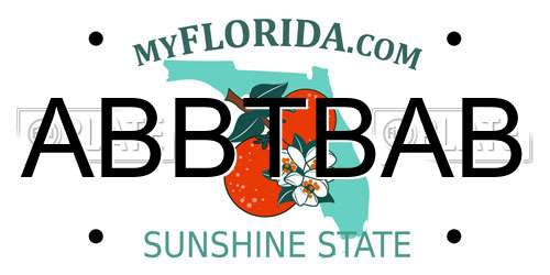 ABBTBAB Florida License Plate