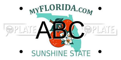 ABC Florida License Plate