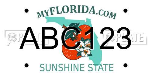 ABC123 Florida License Plate