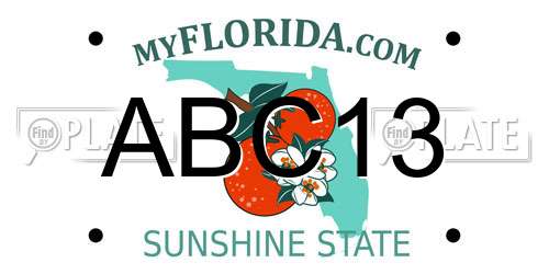 ABC13 Florida License Plate
