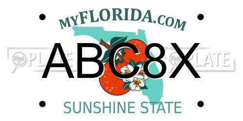 ABC8X Florida License Plate