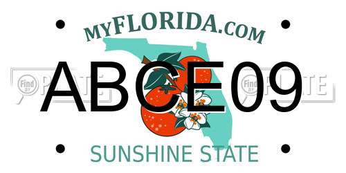 ABCE09 Florida License Plate