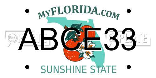 ABCE33 Florida License Plate