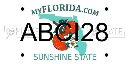ABCI28 Florida License Plate