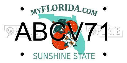 ABCV71 Florida License Plate
