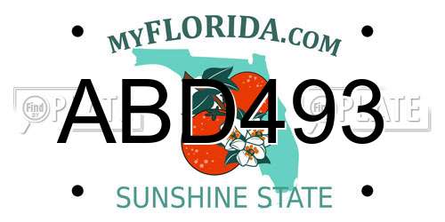 ABD493 Florida License Plate