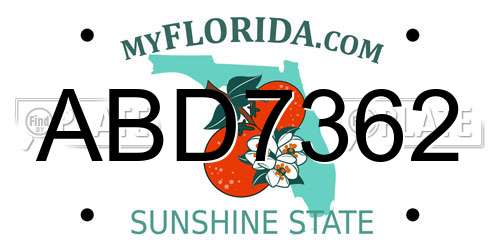 ABD7362 Florida License Plate