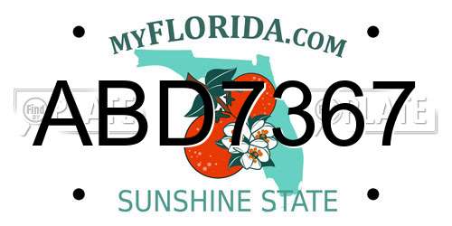ABD7367 Florida License Plate