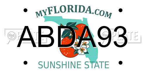 ABDA93 Florida License Plate