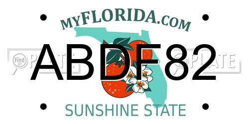 ABDF82 Florida License Plate