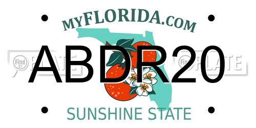 ABDR20 Florida License Plate
