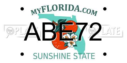 ABE72 Florida License Plate