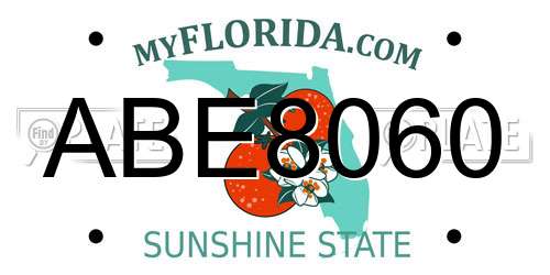 ABE8060 Florida License Plate