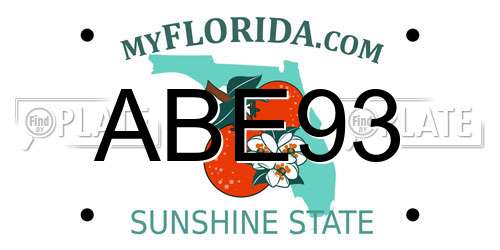 ABE93 Florida License Plate